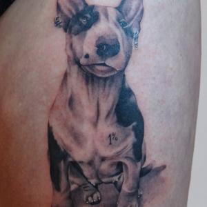 Image # 5