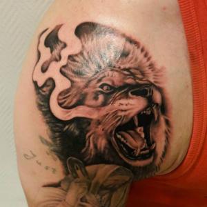 Image # 13
